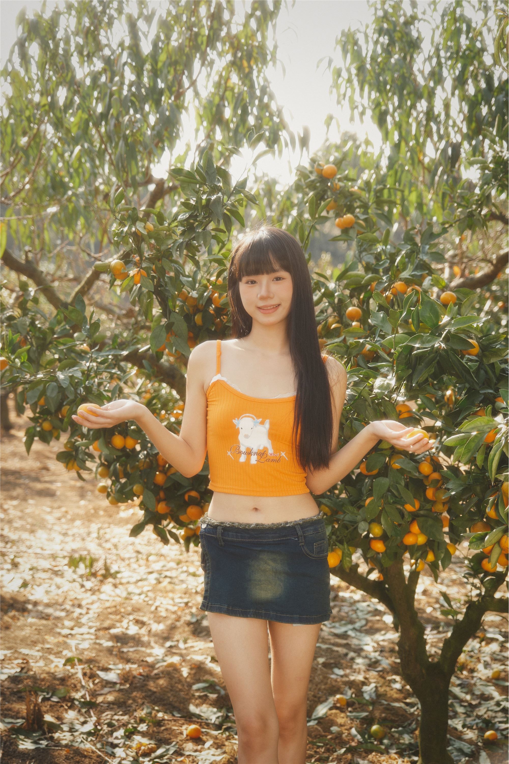 YITUYU艺图语 2025.01.26 橘子园 是三金呀